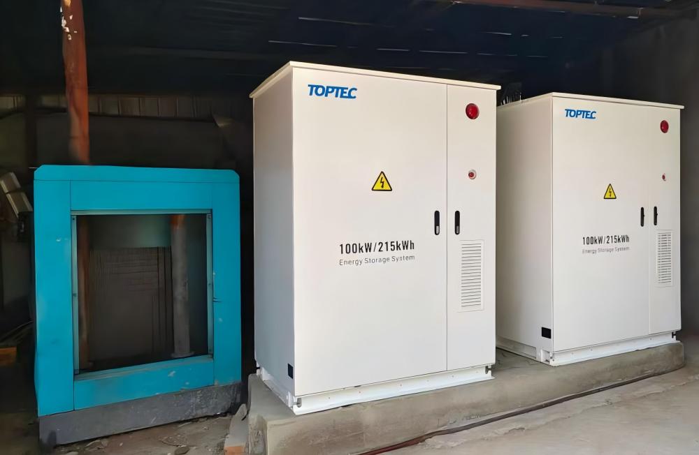 1773812516436432.jpg 1000.jpg